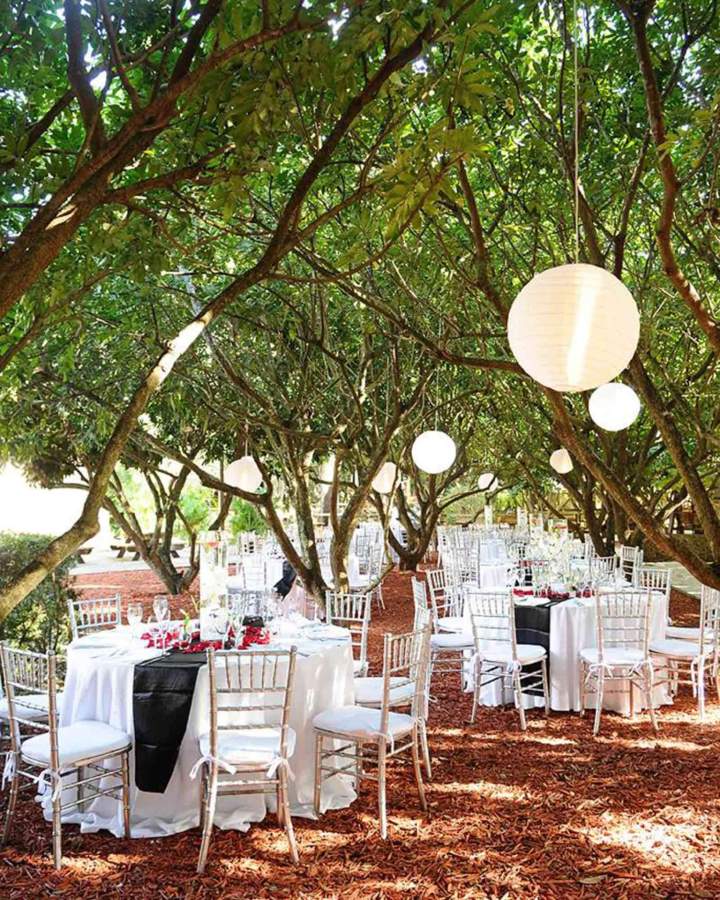 Wedding Reception Premises Homestead