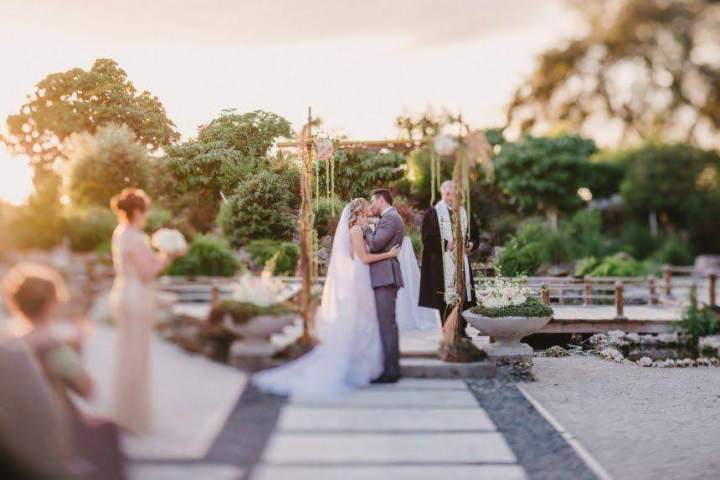 Wedding celebration Homestead